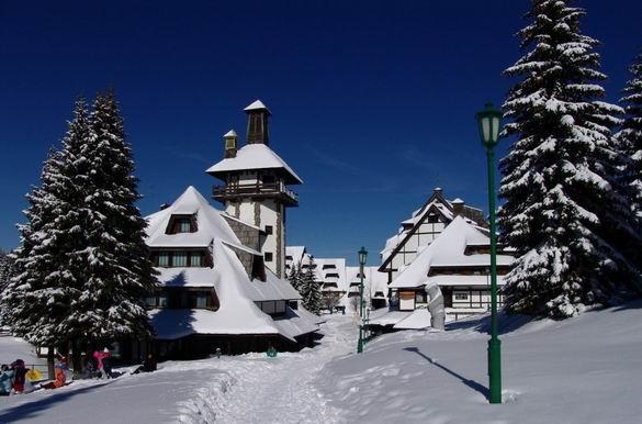 Apartment Dream Konaci Копаоник Экстерьер фото